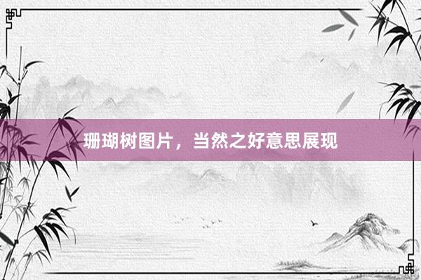 珊瑚树图片，当然之好意思展现